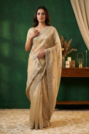 Royal Tissue Saree