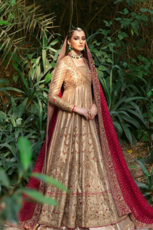 Beige Red Bridal Lehenga