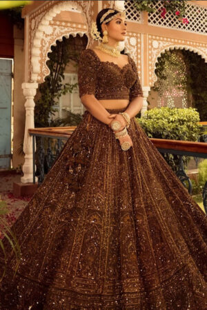 Elegant Brown Designer Lehenga