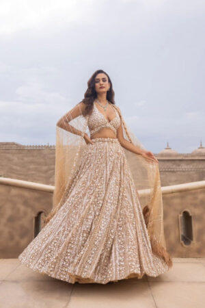 Champagne Party Wear Gown