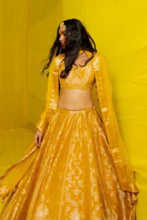 Royal Mustard Haldi Lehenga