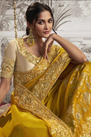 Partywear saree 5