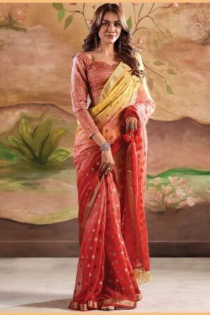 Partywear saree 6